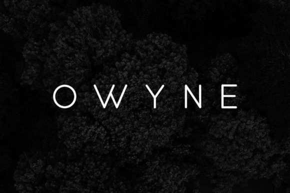 Owyne: The Modern Display Font for Impactful Campaigns